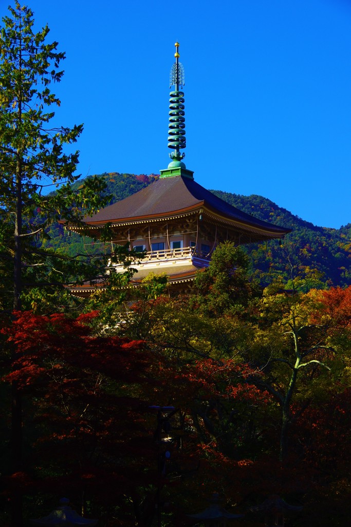 深まる秋～善光寺～