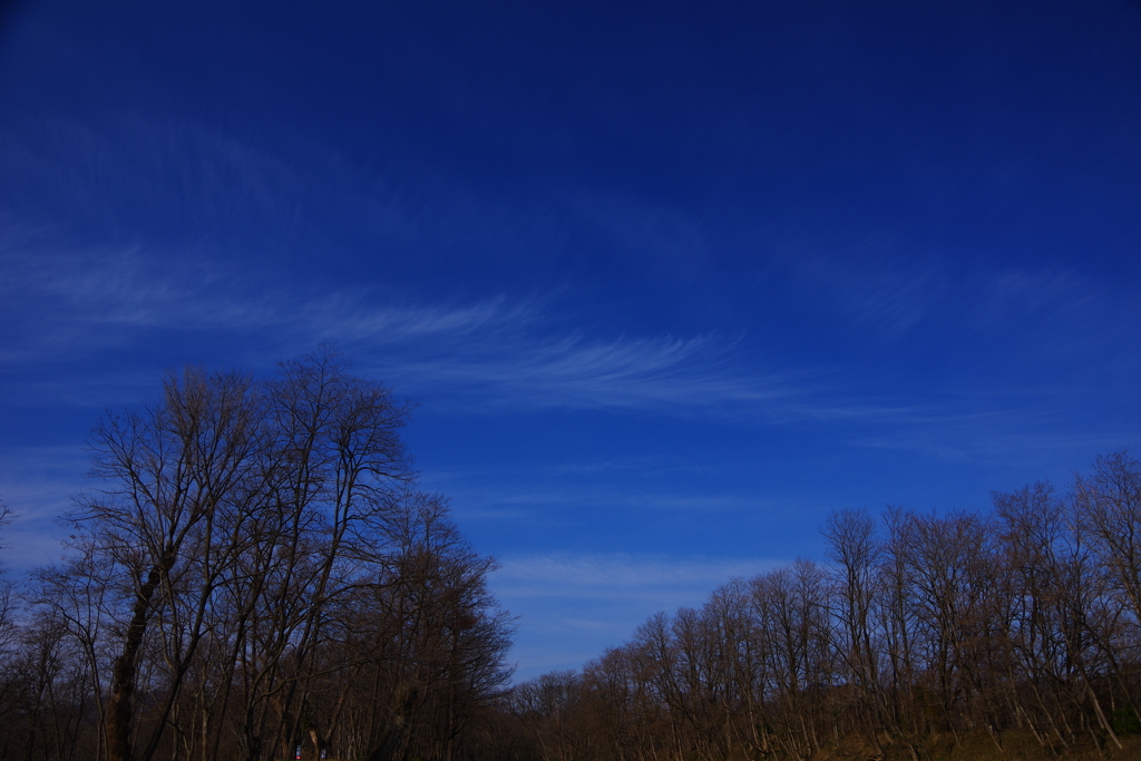 君と見た空・・・