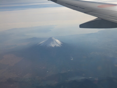 真上からこんにちは！