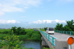 フラれました・・・(>o<)