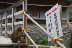 ただ今、休憩中～ウッキー