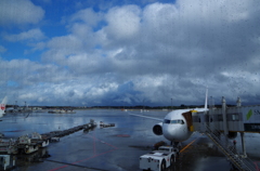 雨あがりの碧空とJAL941