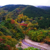 君と眺めた美しい秋～赤い橋の記憶～