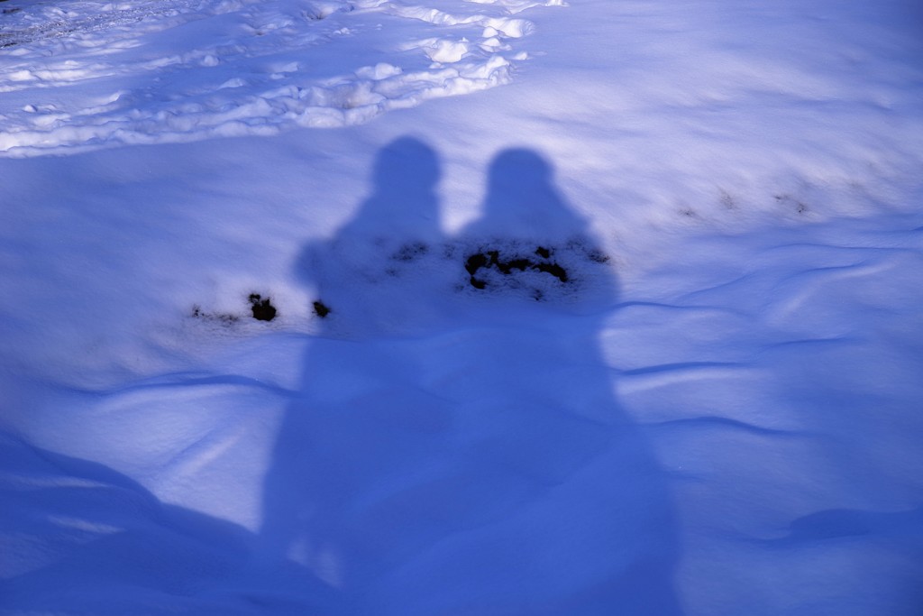 雪ん子の郷 ♬*.+゜