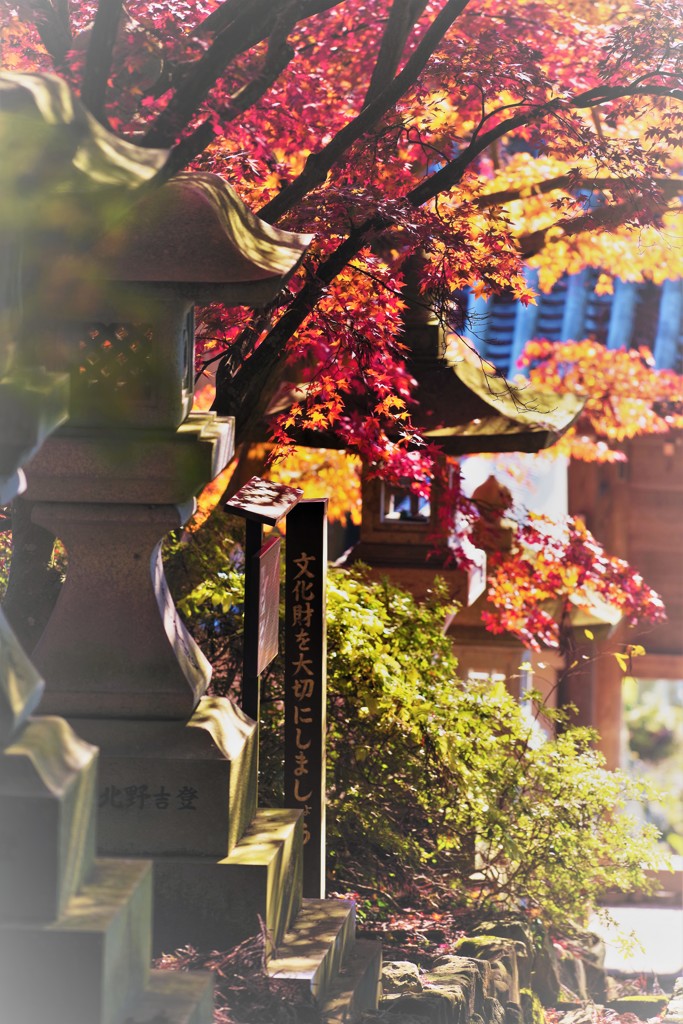 有終の美♪。.:＊・゜