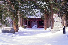 雪の随神門