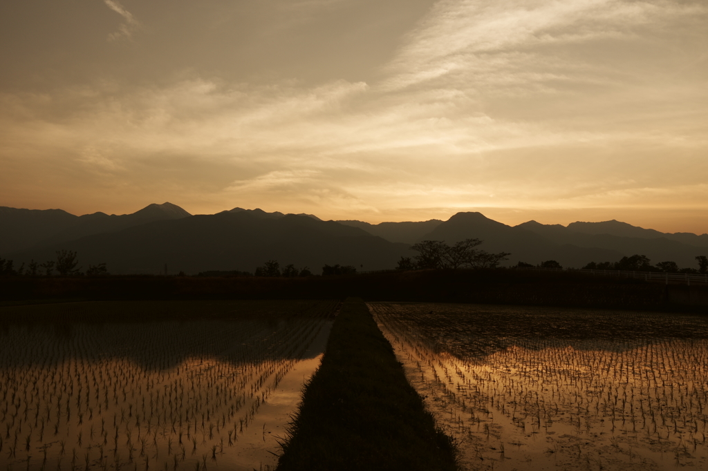初夏の安曇野・夕景の別れ道
