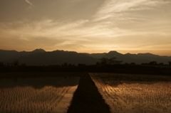 初夏の安曇野・夕景の別れ道