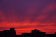 茜色に染まる夕暮れ1