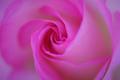 甘くてとろけ～るおめざを♬*.+゜