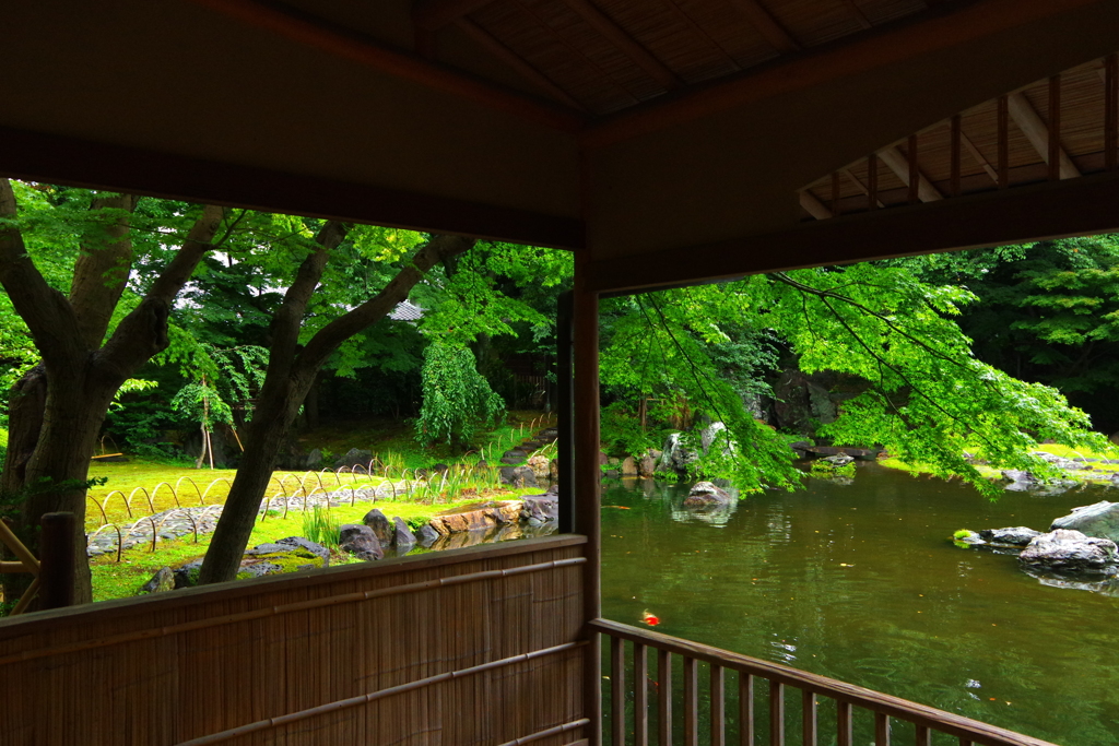 神池庭園・万緑