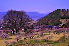 山と暮らす～あんずの里と高妻山～