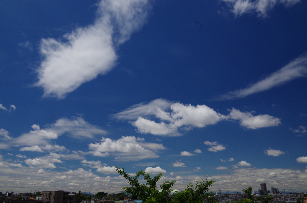 夏が来た～！