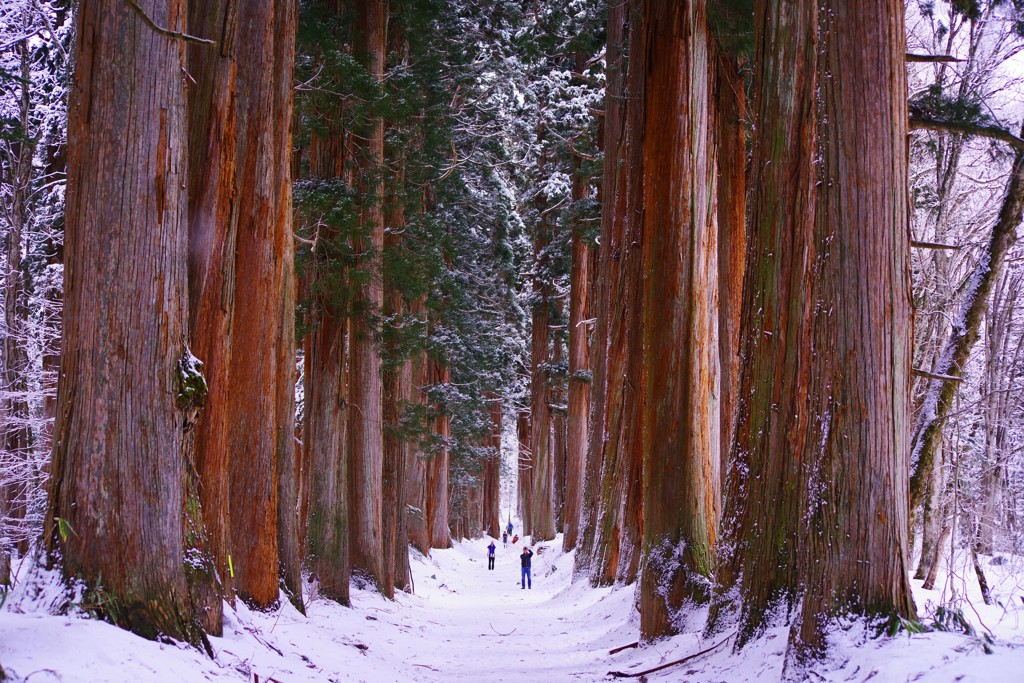 雪の参道