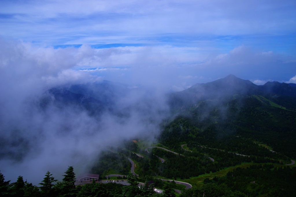 君と雲の上の空中散歩～♬*゜