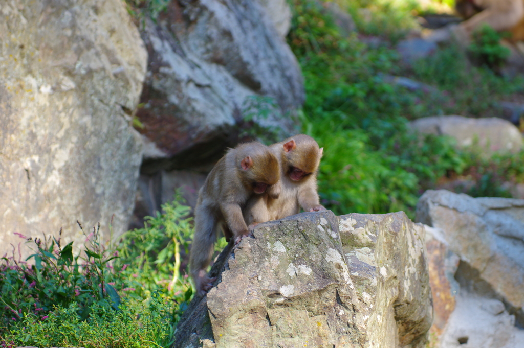(^o^)ﾉ ＜ お・や・す・みー!!!