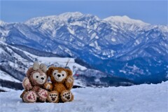 雪景色サイコ～!!