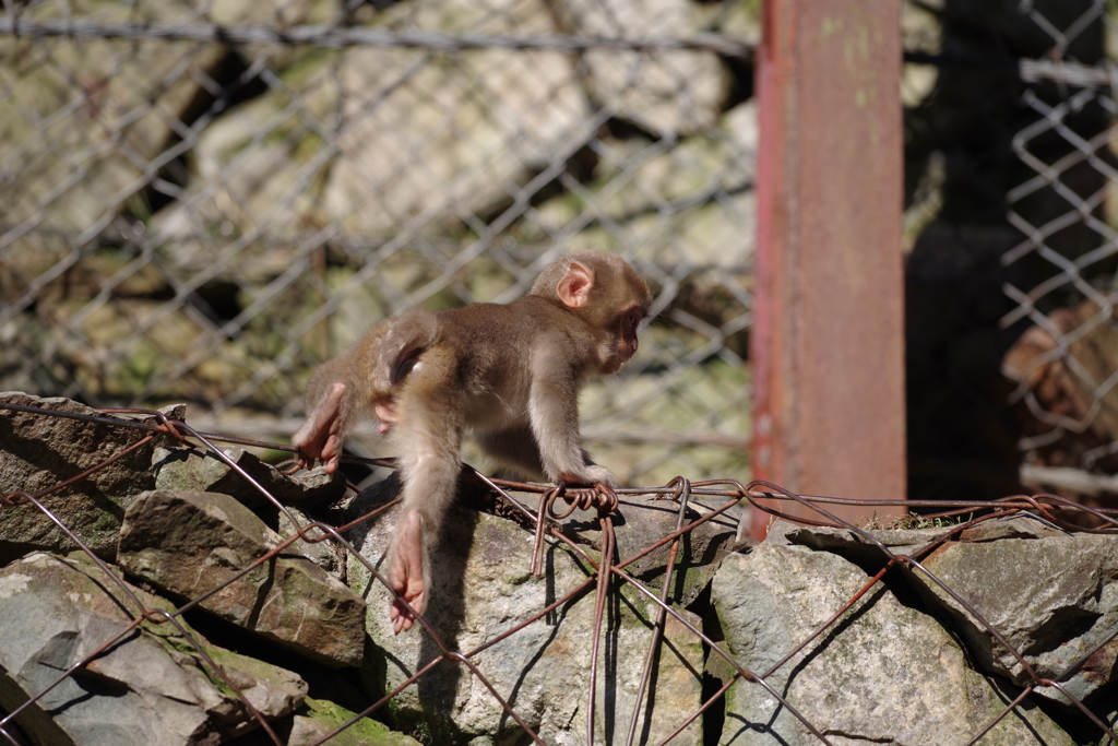 今日はこのへんで・・・