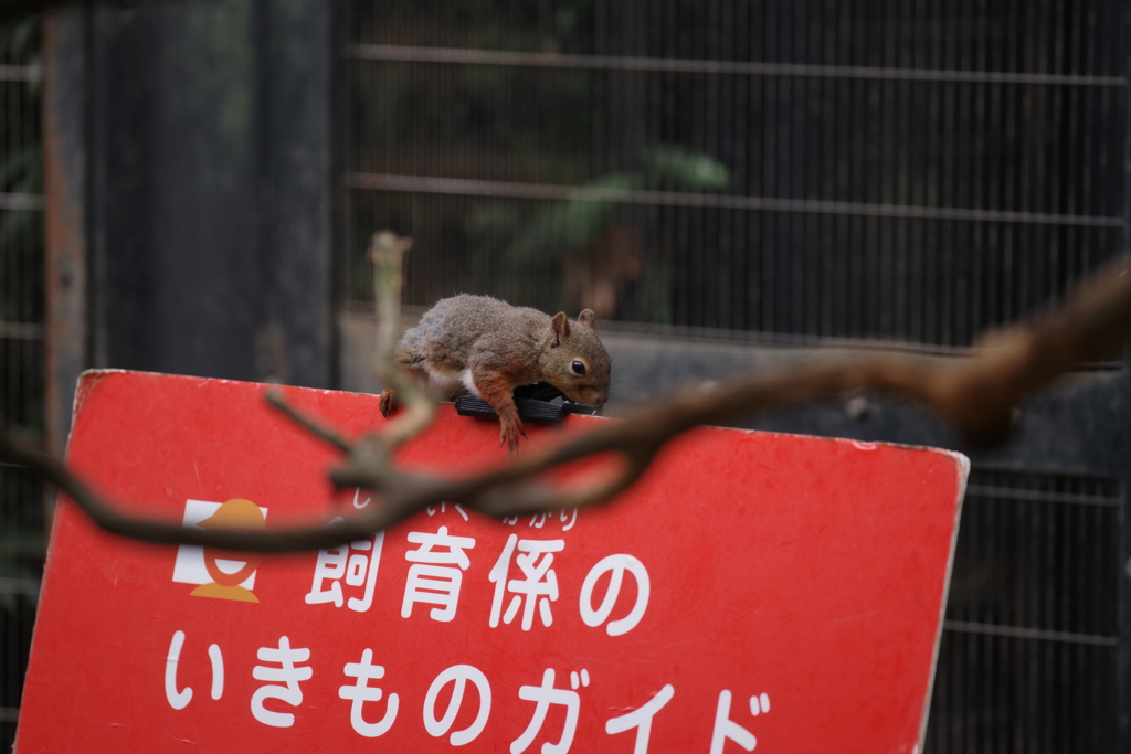 お話を聴くときは・・・