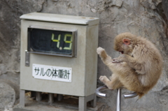 春の健康診断　気になる値は見ないふり～(^_^;)