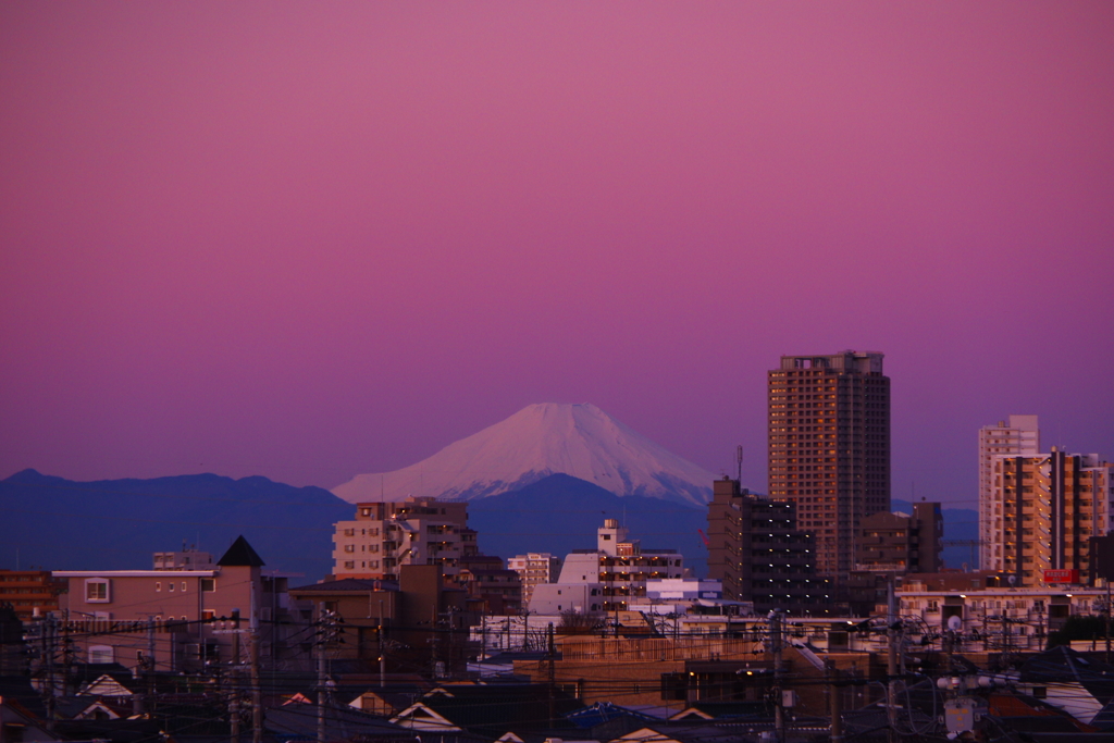 薄紅色の朝焼け