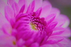 しずくpink　やさしい心♬*゜