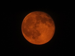 red　moon