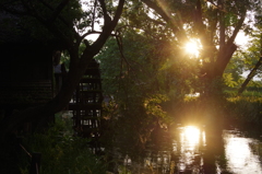 望郷・初夏の夕暮れ　想い出の水車小屋