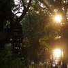 望郷・初夏の夕暮れ　想い出の水車小屋