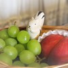 リス君も大喜び(≧∇≦*)