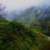 ふかい深い霧につつまれる秋～小川村～