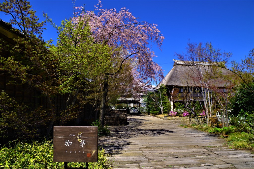 古民家カフェ♬