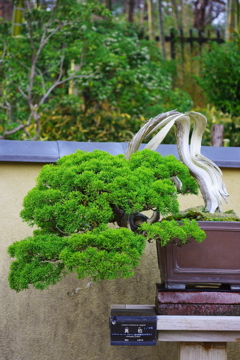 生きる力。