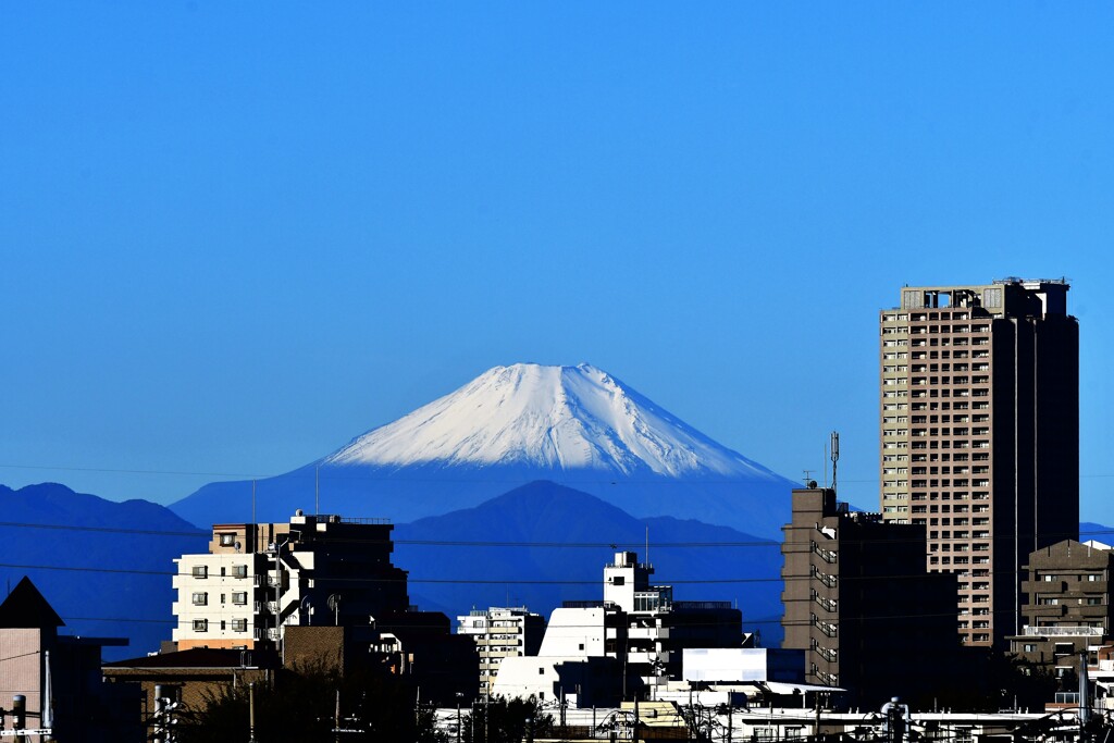 初冠雪