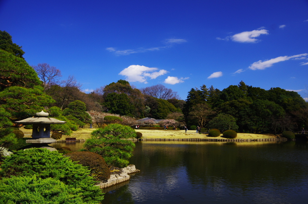 日本庭園の春を愉しむ