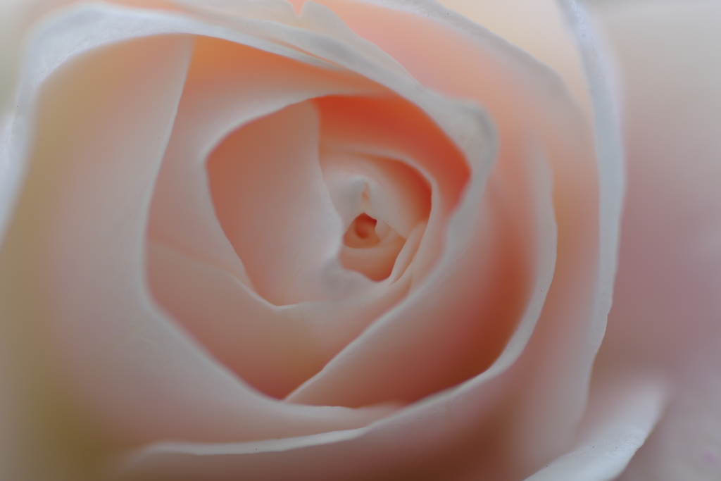 心地よい眠りを・・・