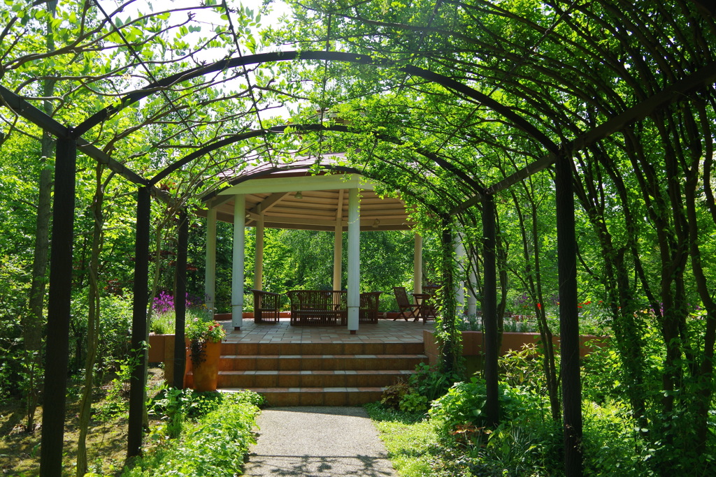 herb　gardenへようこそ