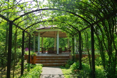 herb　gardenへようこそ