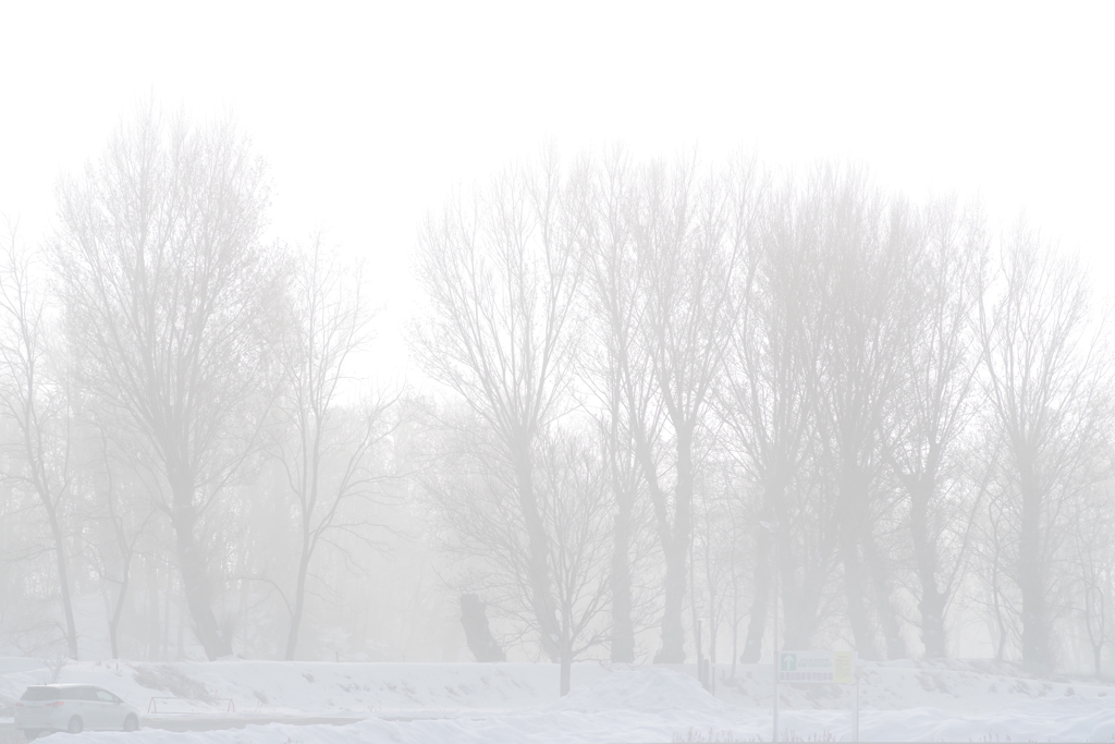 White　out・朝霧のむこう側