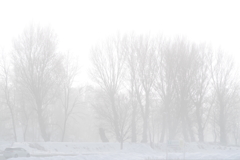 White　out・朝霧のむこう側