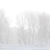 White　out・朝霧のむこう側