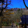 しずくBlueの碧空と戸隠山