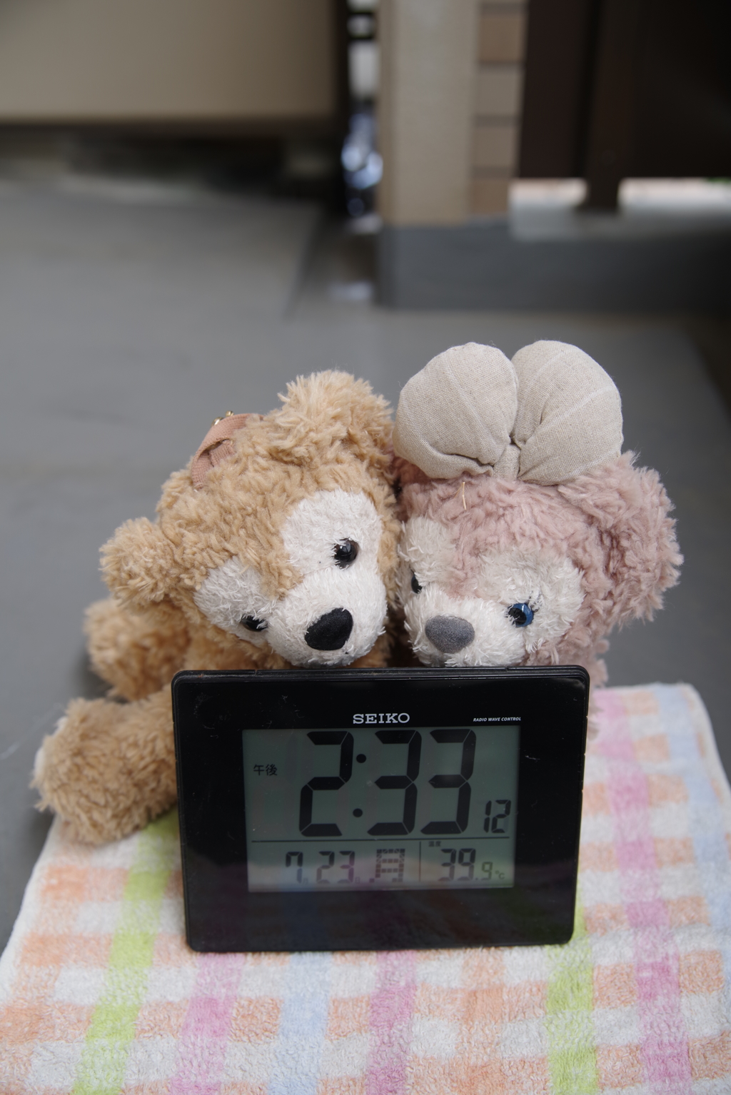 とろけそうです(ToT)