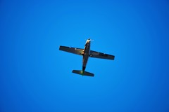 flyaway♪。.:*・゜ flyaway♪。.:*・゜