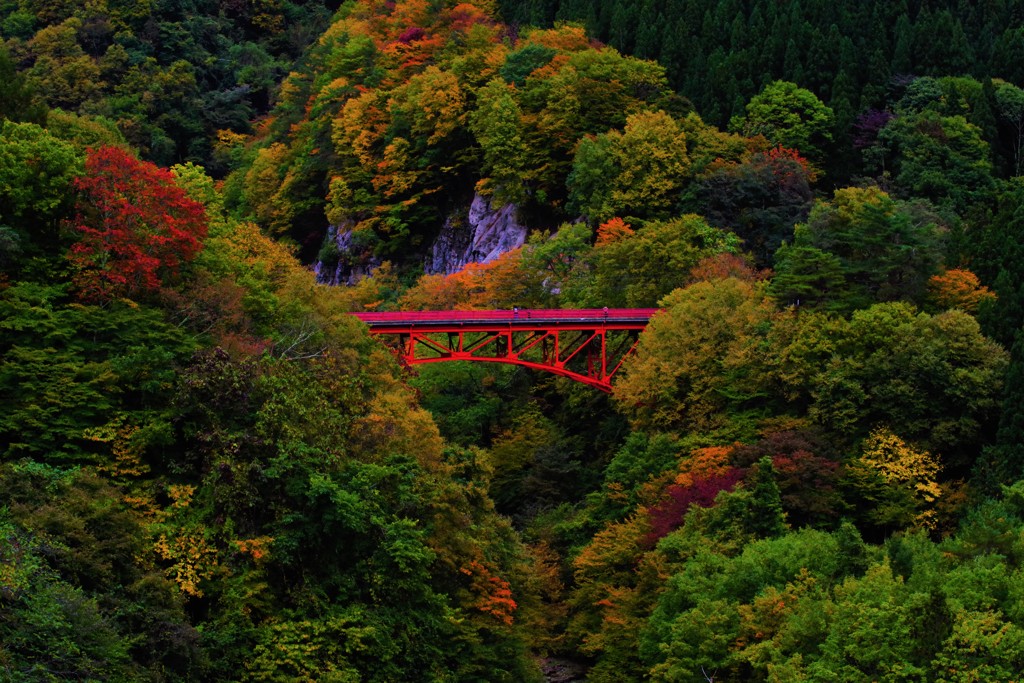 君と、紅葉を眺めながら～松川渓谷～