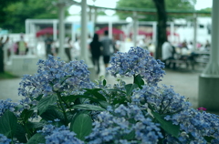 楽しかった日曜日♪