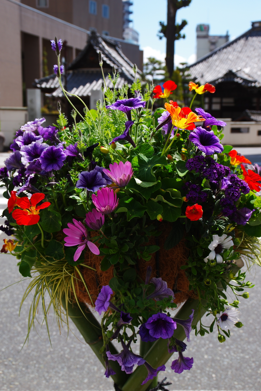 彩りを添えて。。。