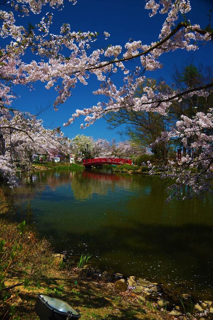 みんなの願いが叶いますように。。。，゜．：。＋゜