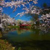 みんなの願いが叶いますように。。。，゜．：。＋゜