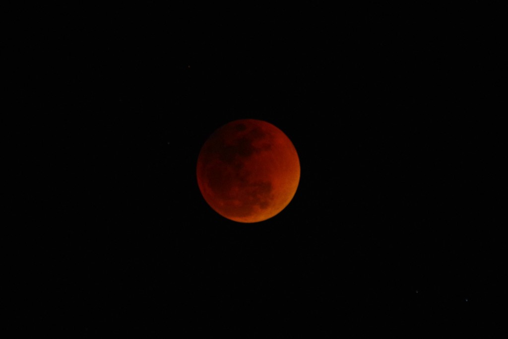 Red moon mystery♪。.:＊・゜